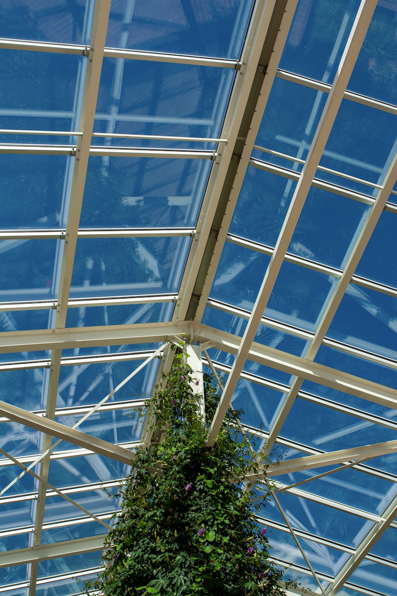 a very tall tree inside of a building